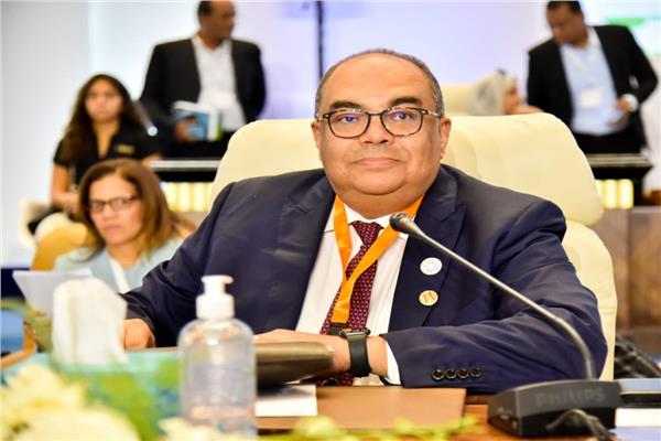  الدكتور محمود محيي الدين
