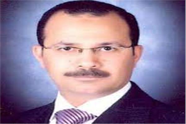 الدكتور السيد عبدالحميد فودة نائب رئيس جامعة بنها
