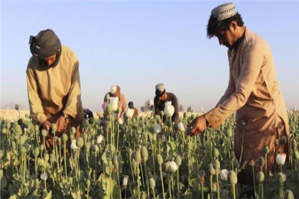 صورة ارشيفية