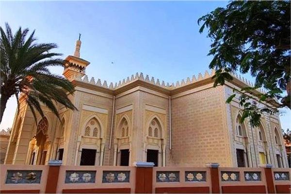 صورة موضوعية