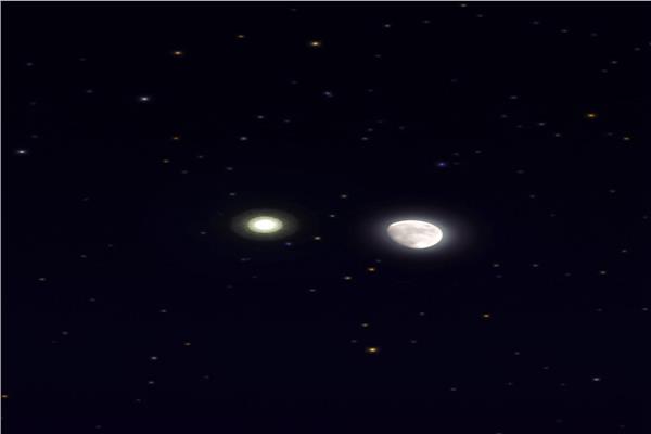 صورة موضوعية