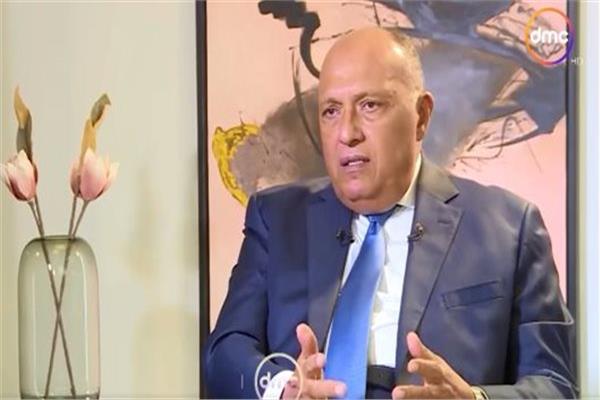 السفير سامح شكري، وزير الخارجية