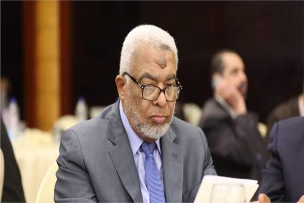 حسن أمين، نقيب المحامين بجنوب القاهرة
