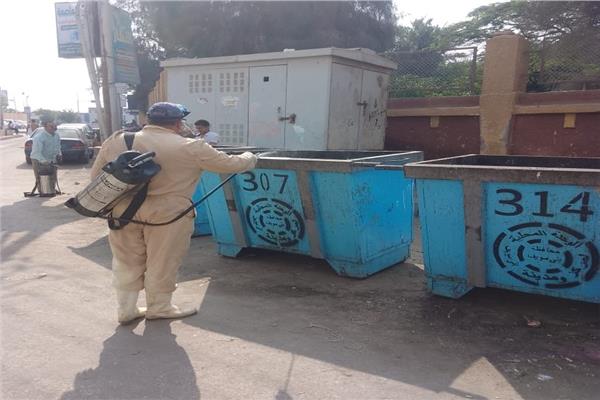  مديرية صحة بني سويف تكثف جهودها  لمكافحة انتشار الذباب المنزلي