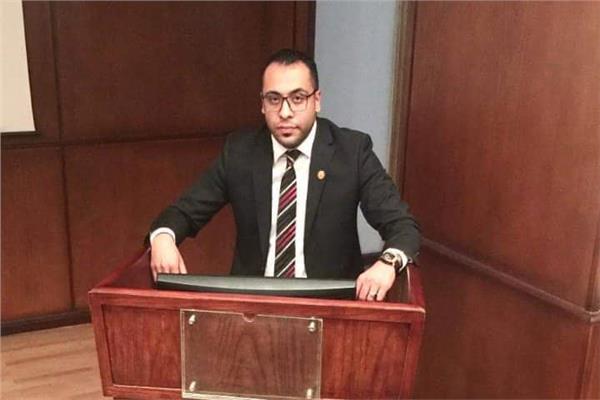 المستشار محمد السيد فراج، مستشار التنمية والتخطيط بالأمم المتحدة