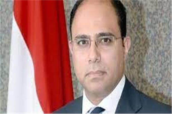 السفير أحمد أبو زيد المتحدث باسم الخارجية المصرية