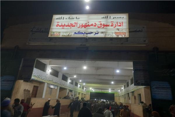 صورة موضوعية
