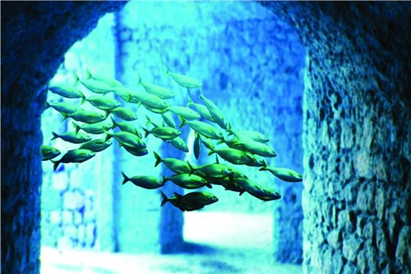  أعماق البحار