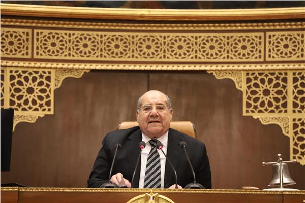  المستشار عبد الوهاب عبد الرازق
