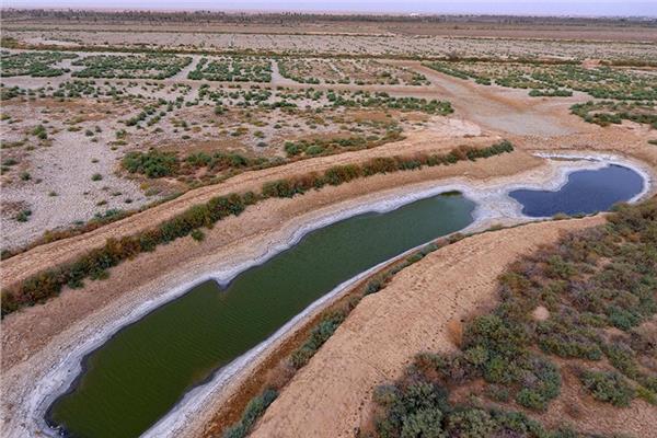 صورة تعبيرية