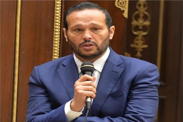 محمد حلاوة رئيس لجنة الصناعة والتجارة بمجلس الشيوخ