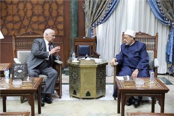 شيخ الازهر يستقبل روفائيل تواضرس رئيس حزب مصر القومى 