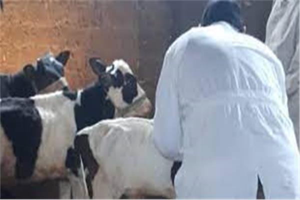 صورة موضوعية