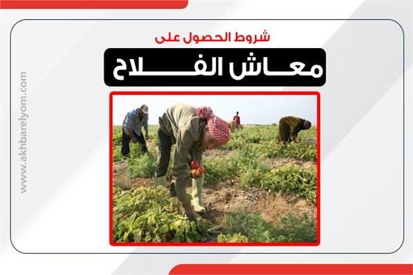 معاش الفلاح 