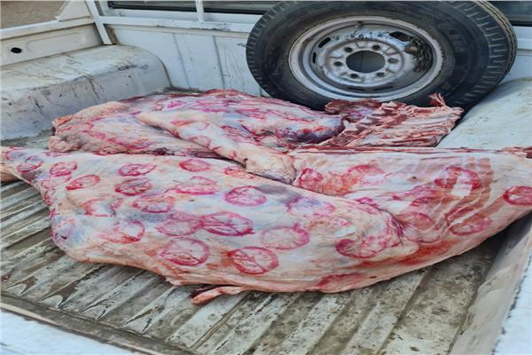 مدير مديرية الطب البيطري بالمنوفية