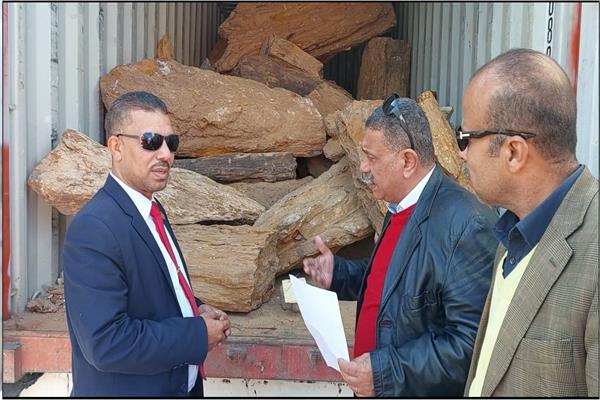 جمارك الدخيلة تسلم البيئة 17.5 طن من الأشجار المتحجرة 
