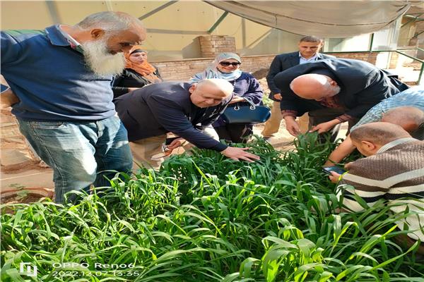 صورة موضوعية