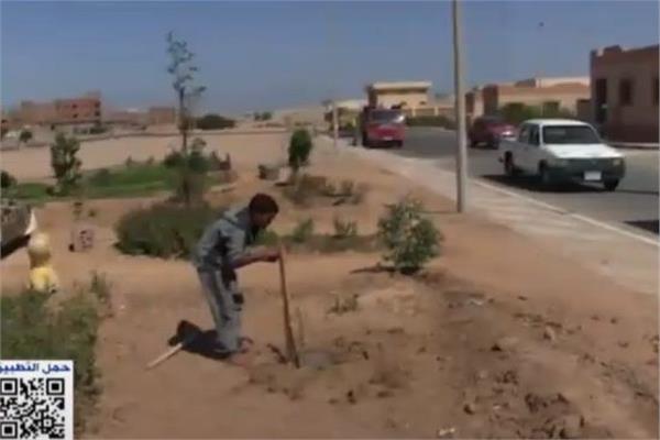 صورة موضوعية