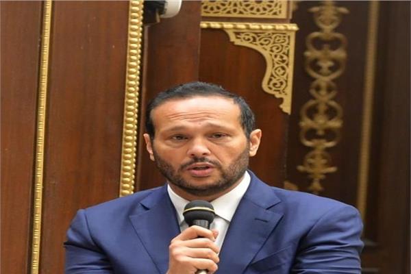 محمد حلاوة رئيس لجنة الصناعة والتجارة بمجلس الشيوخ