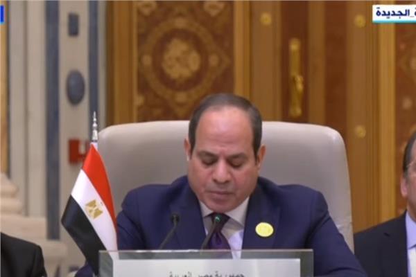 الرئيس عبد الفتاح السيسى