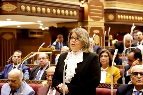 النائبة فيبي فوزي