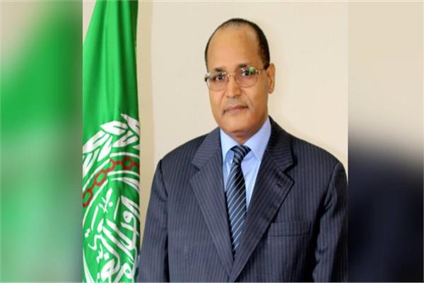 السفير د.محمد الأمين