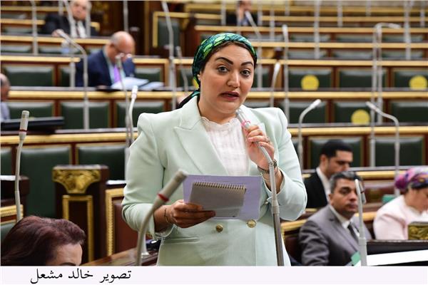 النائبة أسماء الجمال عضو لجنة العلاقات الخارجية بمجلس النواب