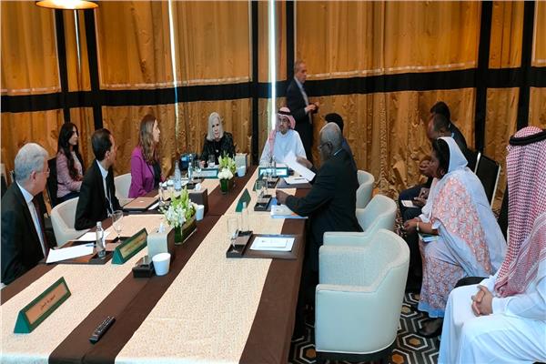 جانب من اجتماع المكتب التنفيذي للمجلس العربي للسكان والتنمية