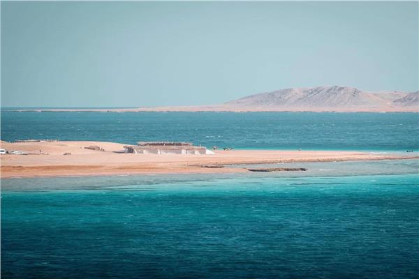 محمية راس محمد