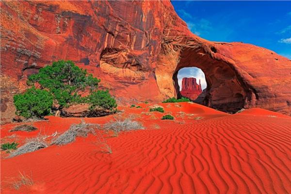 محمية الجلف الكبير