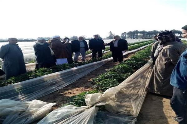 محافظ الشرقية يُشيد بمجهودات مديرية الزراعة 