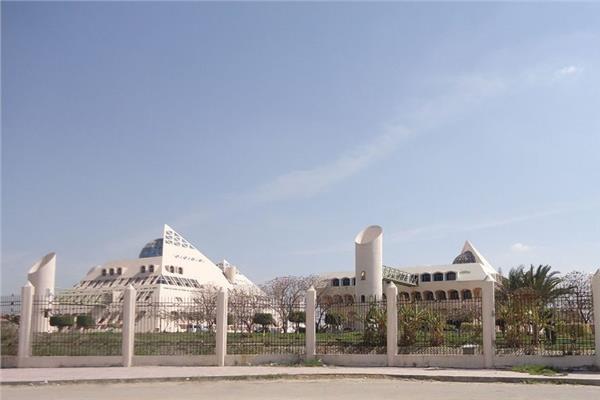 جامعة برج العرب التكنولوجية