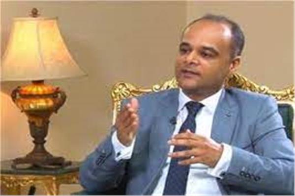 السفير نادر سعد، المتحدث باسم مجلس الوزراء