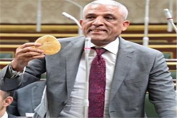 النائب محمد الحسيني