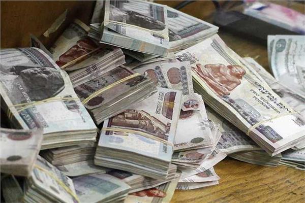  الدكتور عبد المنعم السيد