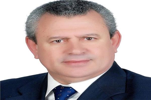 الدكتور الشبراوي امين