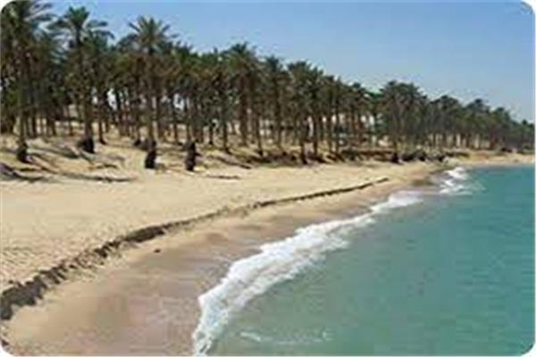 صورة ارشيفيه 
