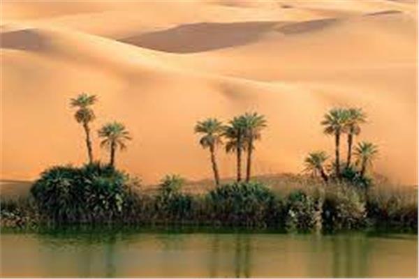 موريتانيا