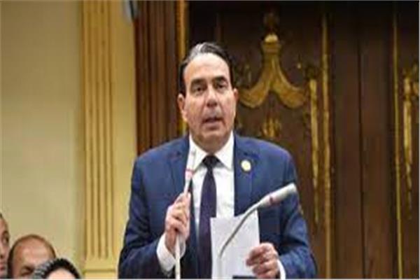  الدكتور أيمن أبو العلا، عضو مجلس النواب