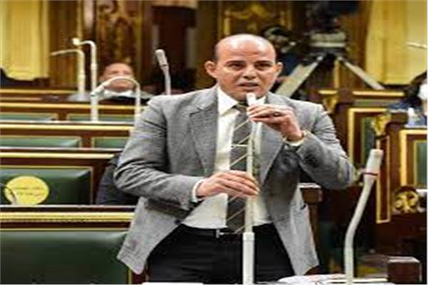 النائب عمرو القطامي، عضو مجلس النواب