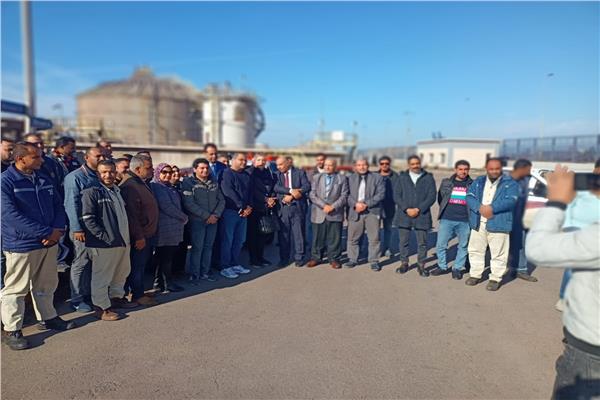 مديرية القوى العاملة بمحافظة الإسكندرية