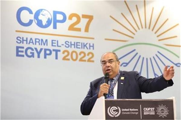 الدكتور محمود محيي الدين