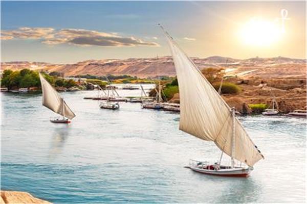صورة موضوعية