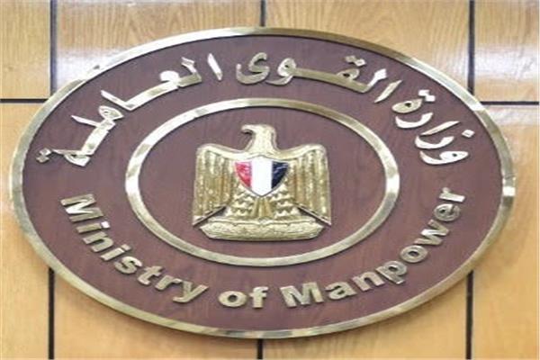  القوى العاملة