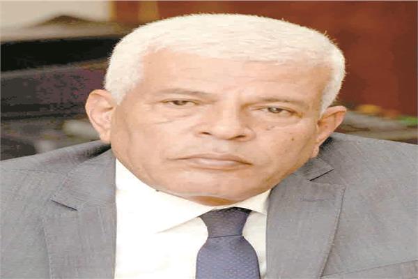 د.السيد خليفة