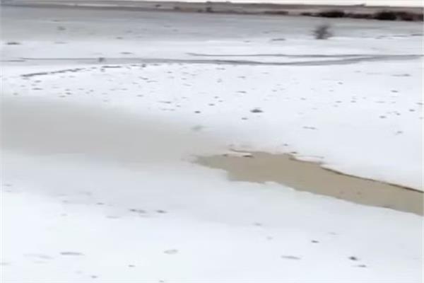 صورة موضوعية