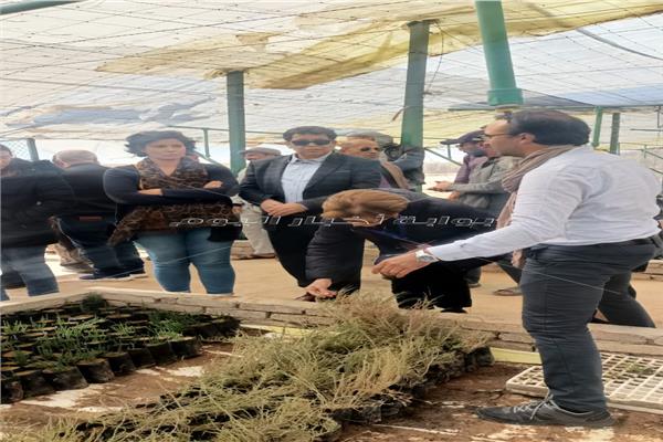 وفد الاتحاد الأوروبي يتفقد مشروعات مركز التنمية المستدامة بمطروح