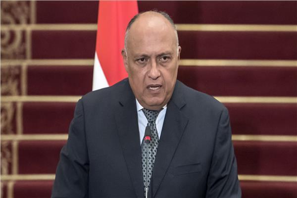  وزير الخارجية سامح شكري