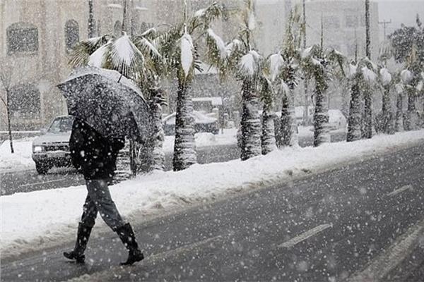 صورة موضوعية