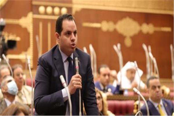  النائب أحمد فوزي
